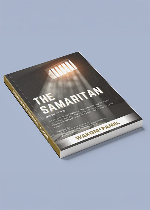 The Samaritan Book Cover